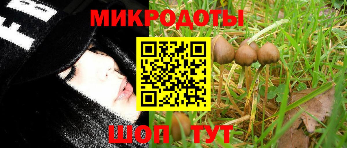 Псилоцибиновые грибы мицелий  Вход с VPN  Краснодар 
